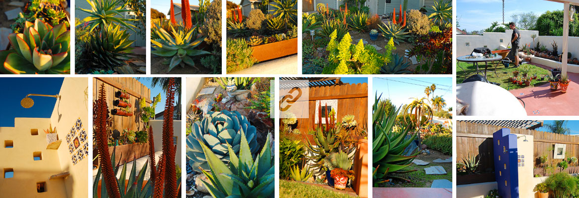 xeriscaping in San Diego by Joel Paynel