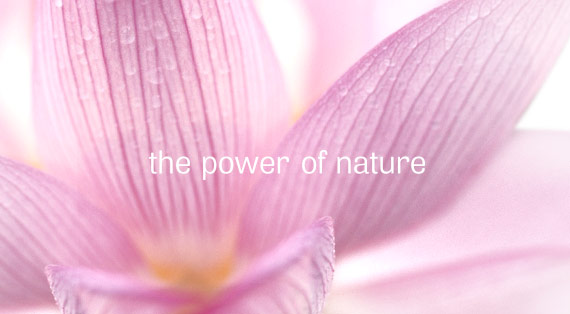 acorelle USA the power of nature